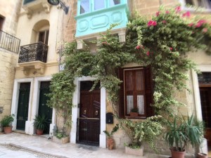 window garden (jpeg)